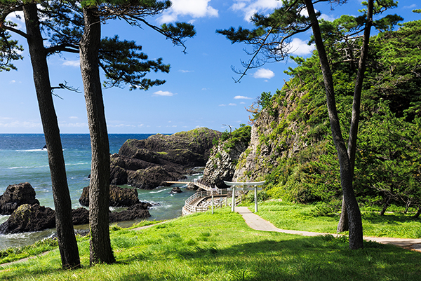 越前松島水族館の画像